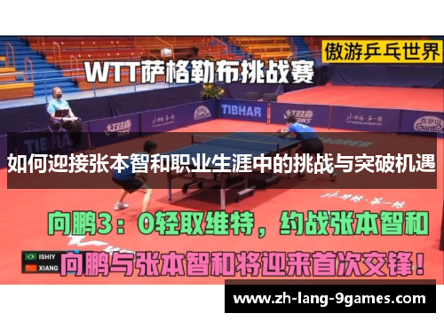 如何迎接张本智和职业生涯中的挑战与突破机遇