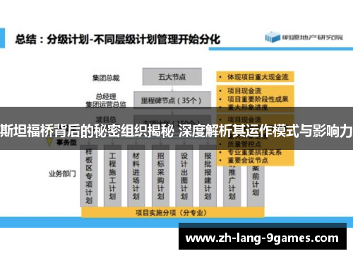 斯坦福桥背后的秘密组织揭秘 深度解析其运作模式与影响力