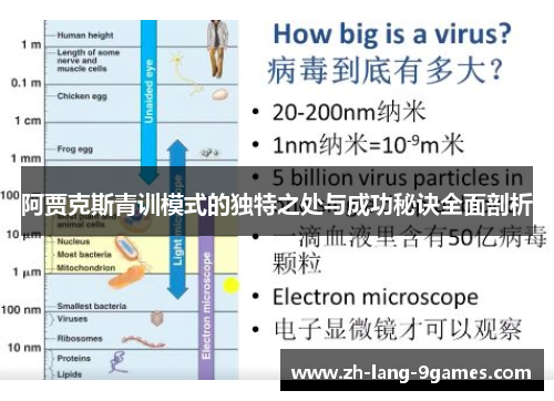 阿贾克斯青训模式的独特之处与成功秘诀全面剖析 阿贾克斯青训模式的独特之处与成功秘诀全面剖析